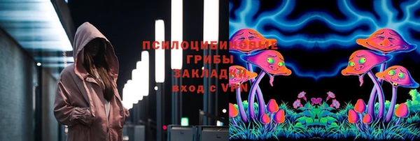 ECSTASY Каменногорск