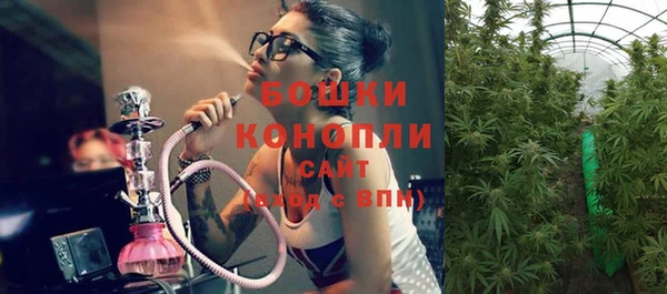 ECSTASY Каменногорск