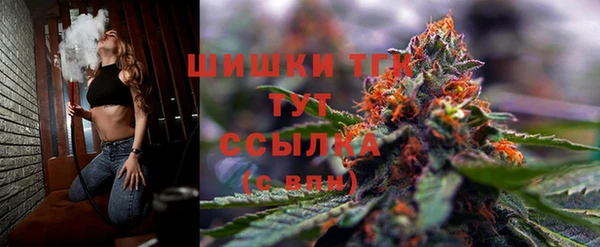 ECSTASY Каменногорск