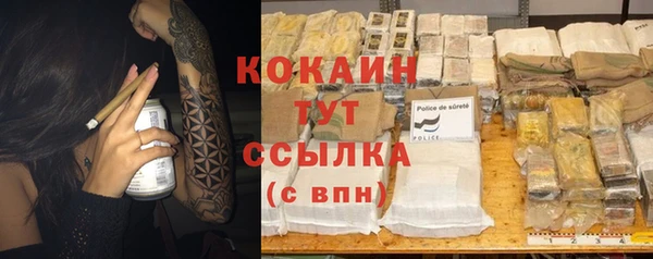 PSILOCYBIN Карпинск